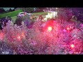 More lightening fun- summer 2025