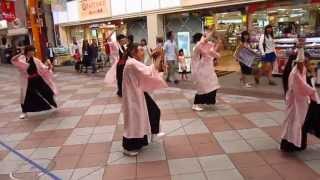 Yosakoi Parading down the Sasebo Ginza