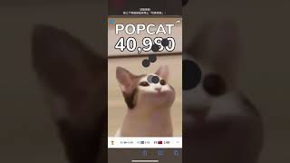 ios Auto Clicker (popcat)