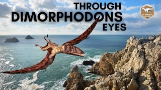 Through Dimorphodon Eyes