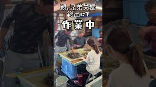 カキ殻（海苔の種）糸切り作業　in 佐賀　大詫間　海苔　‼️