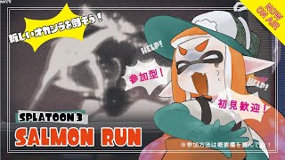 【海女美術大学】やるぞラストラン！！！【参加型ビッグラン】