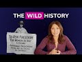 How Women Got The Vote: Explained