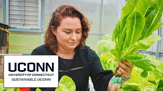 Sustainability at UConn | The College Tour