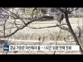 경남 거창군 야산에서 불 ...1시간 50분 만에 진화 ytn