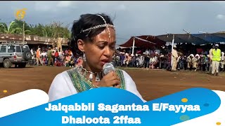 Jalqabbii Sagantaa E/Fayyaa Dhaloota 2ffaa