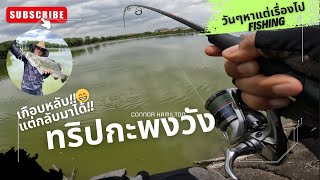 กะพงวัง กัด!!🤨หลุด!!😳แต่พอได้ตัว#fishing #streetfishing #fish #ตกปลา