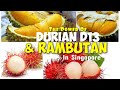 The Power of  Durian D13 and Rambutan in Singapore