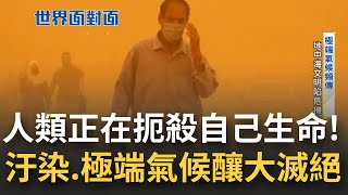 人類正在製造一場大滅絕! 氣候變遷加劇 60%脊椎動物恐從地球上消失 汙染奪走9百萬條人命 空氣髒污更折損人類平均壽命逾2歲!｜黃寶慧 主持｜【世界面對面】20220822｜三立iNEWS