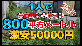 mowing 800平方メートルの蔦だらけの草刈りを激安50000円で受けてしまった激闘の３日間