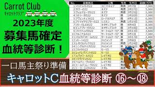 【一口馬主】キャロット募集馬の血統考察！注目馬「ルヴォワールの２２」叔父にフィエールマンの良血馬☆№⑯～⑱