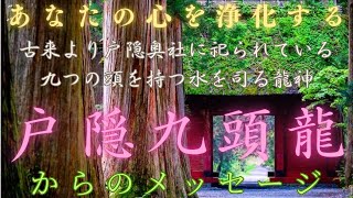 Message from God: Togakushi Kuzuryu Okami - Purify your heart and improve your fortune [318]