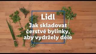 Víte, jak skladovat čerstvé bylinky, aby vydržely déle? | Lidl Česká republika