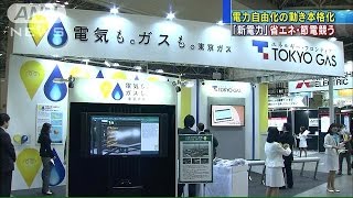 新たに参入　電力自由化で、7兆5000億円市場へ(15/01/28)