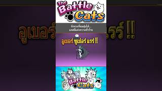 จังหวะที่ผมสุ่มได้แคสลี่แห่งความชั่วร้าย #game #เกมส์มือถือ #thebattlecats #แคสลี่แห่งความชั่วร้าย