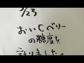 よかもんいちごの糖度計ってみた