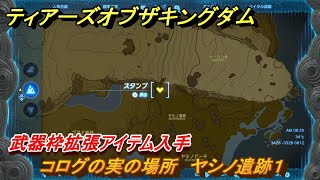 ティアキン　コログの実の場所　ヤシノ遺跡１　武器枠拡張アイテム入手　＃１２２５　【ゼルダの伝説ティアーズオブザキングダム】