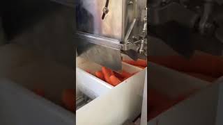 Confezionamento Carote/Packaging of carrots in trays