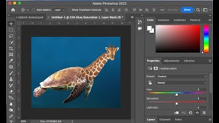 Adobe Photoshop Photograph editing to create a Turaffe Hybrid Animal