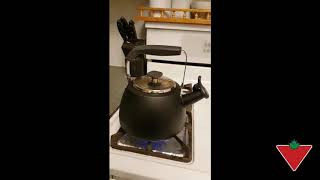 Paderno Stovetop Kettle reviewed by Kimberley