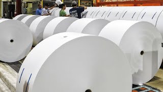 “Inside the Paper Factory: How Millions of Sheets Are Made Every Day Without Defects”