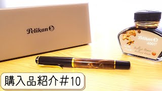 【購入品紹介＃１０】ペリカン万年筆デビュー！！ クラシック M200 マーブルブラウン (細字) を買いました！(Pelikan)