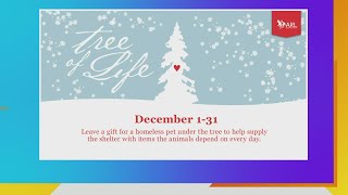 Tree of Life with the Animal Rescue League