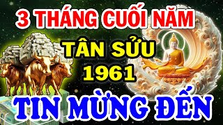 SÁCH TỬ VI GHI RÕ: 3 Tháng cuối năm Xuất Hiện Điềm Lành TÂN SỬU 1961 Đang Nợ Gặp Thời Tiền Về Ầm Ầm