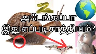 Intresting facts about creatures |அடேங்கப்பா உலகில்🌎 இவ்வளவு அதிசயம் இருக்கா? 😱#science#tamil#shorts