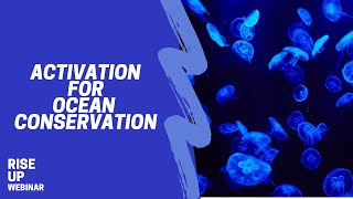 Activation for Ocean Conservation: No Matter Where You Live!