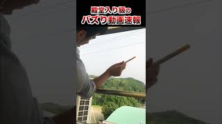 総再生回数1億越えの今バズってる動画ランキングwwwwww #珍事件#放送事故#爆笑#おもしろ