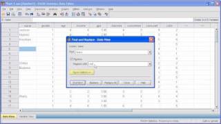 1.9 Find and Replace: PASW (SPSS) Statistics v.17