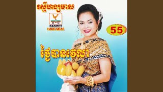 សារាយអណ្ដែត