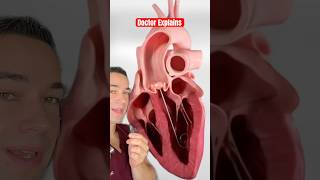 How Doctors Can Save A Heart