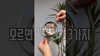 쿠팡 모르면 손해인 3가지 #살림남