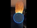 google home vs alexa say hi to siri