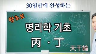 명리학 기초 (5강).  천간론 丙 .丁