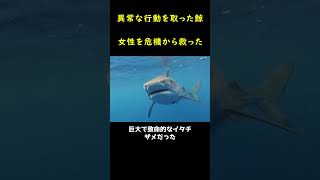 クジラに押しされた後、女性は感動の涙を流した！？🐳