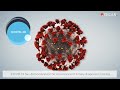 Tecan x Centigrade MAPlinx software interface templates