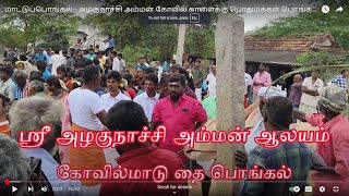 மாட்டுப்பொங்கல் - அழகுநாச்சி அம்மன் கோவில் காளைக்கு பொதுமக்கள் பொங்கல் வைத்து பூஜை செய்யும் காணோளி