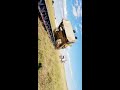 caterpillar d6r unloading in rapid city sd