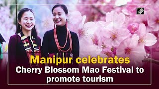 Manipur celebrates Cherry Blossom Mao Festival to promote tourism