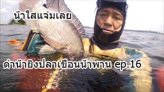 ดำน้ำยิงปลาเขื่อนน้ำพาน ep.16