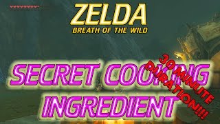 Zelda Breath of the Wild - Cooking BEST RECIPES and INGREDIENTS