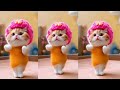 cat videos funny dance 🐾️💃😃videos for catsv funnycats dancingcat catlovers cats cat dance 178