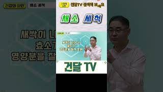 [건달TV] 채소세척 #건달TV#건강정보