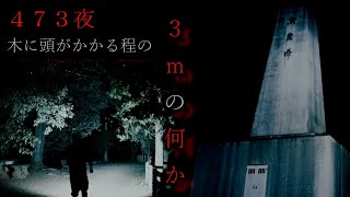 【検証】絶望から這い上がるあの夜の検証　その夜の鳥４７３夜【心霊】