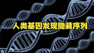 人类DNA发现隐藏序列，结构与高级语言相似：人类是刻意设计出的