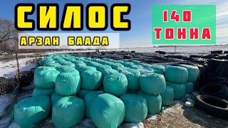 140 тонна СИЛОС сатылат 🤚🏼 АРЗАН БААДА 🤚🏼 Бишкекте