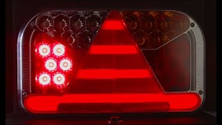 Neon-effect rear combination lights